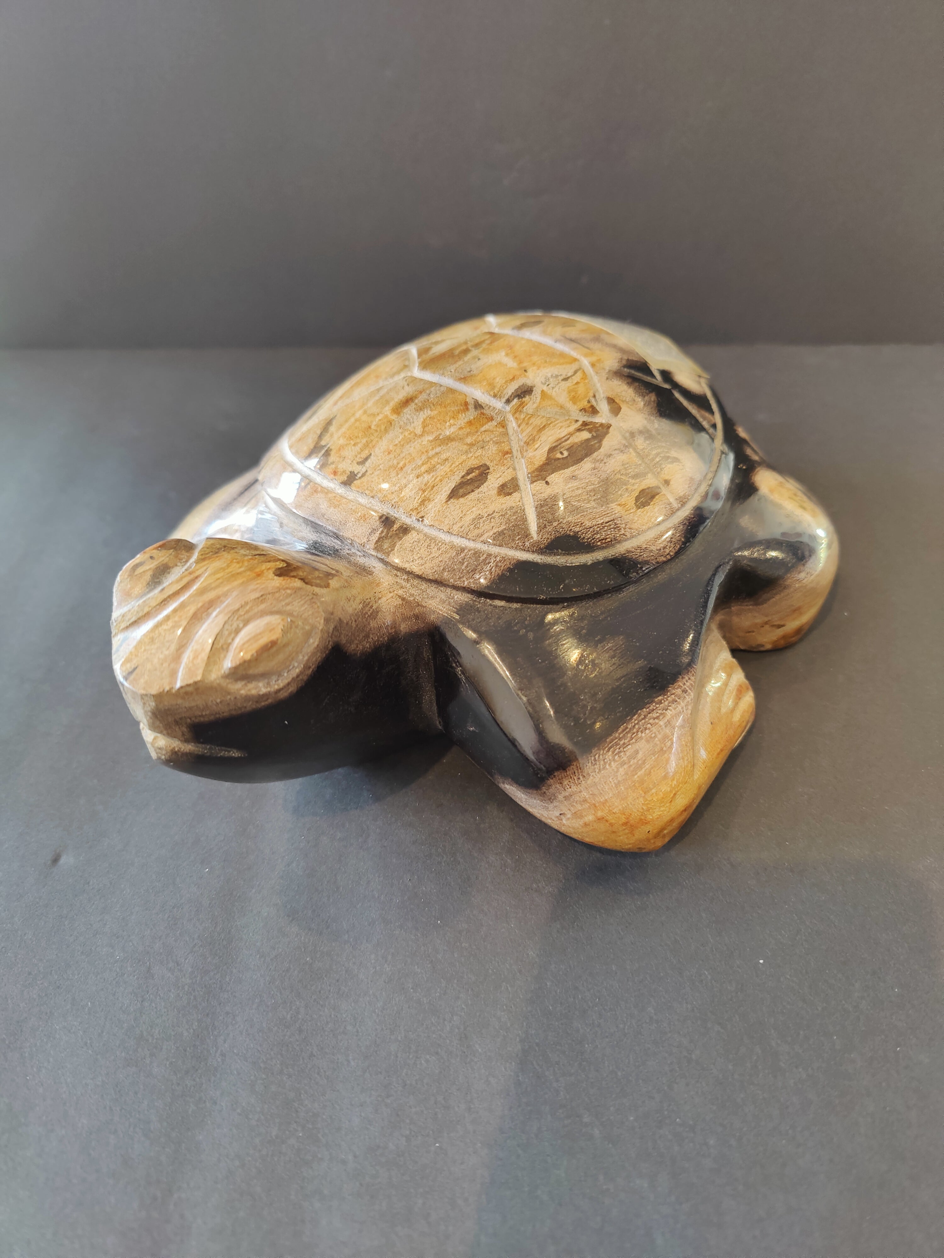 Petrified Wood Turtle Sculpture