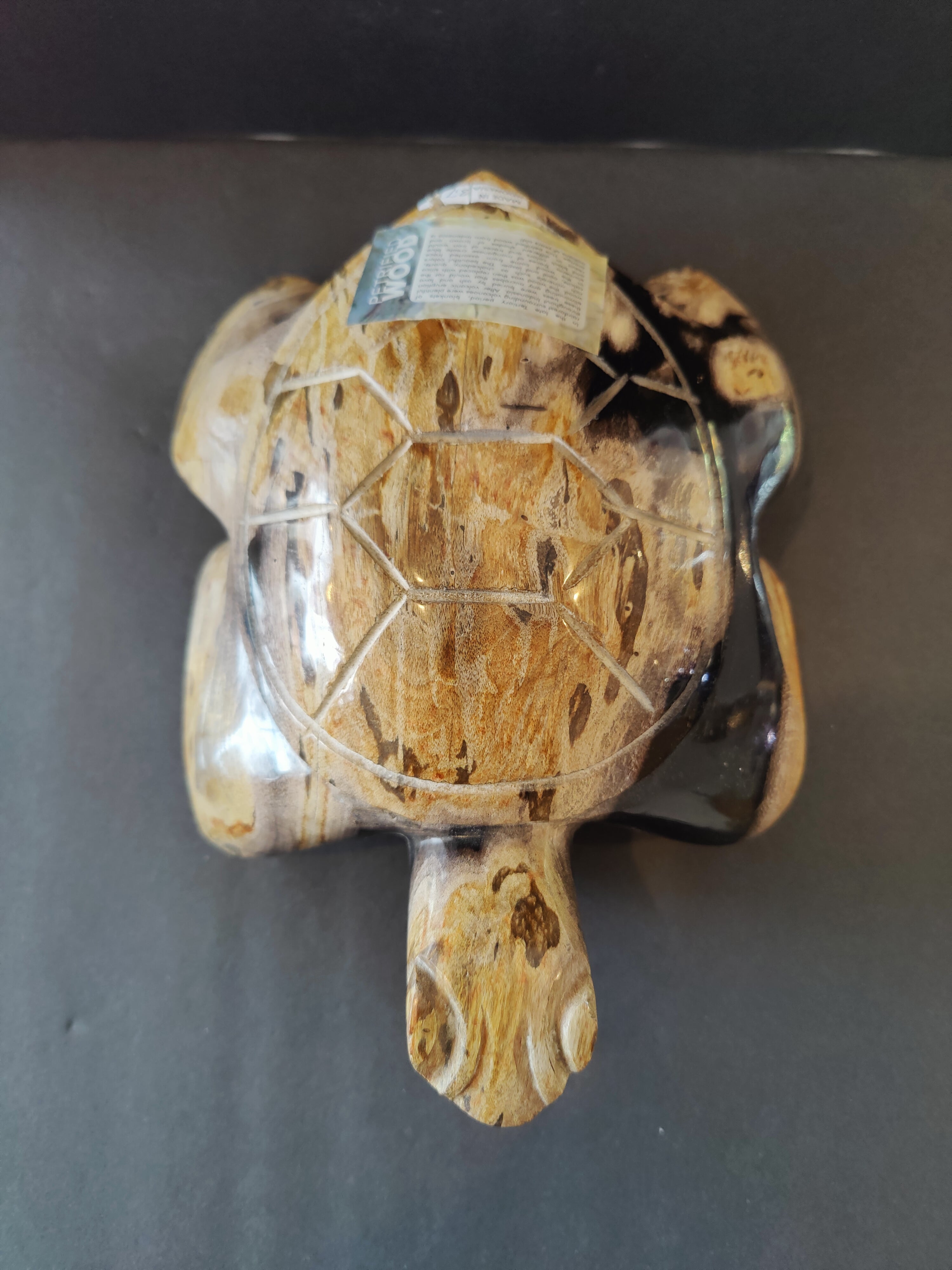 Petrified Wood Turtle Sculpture