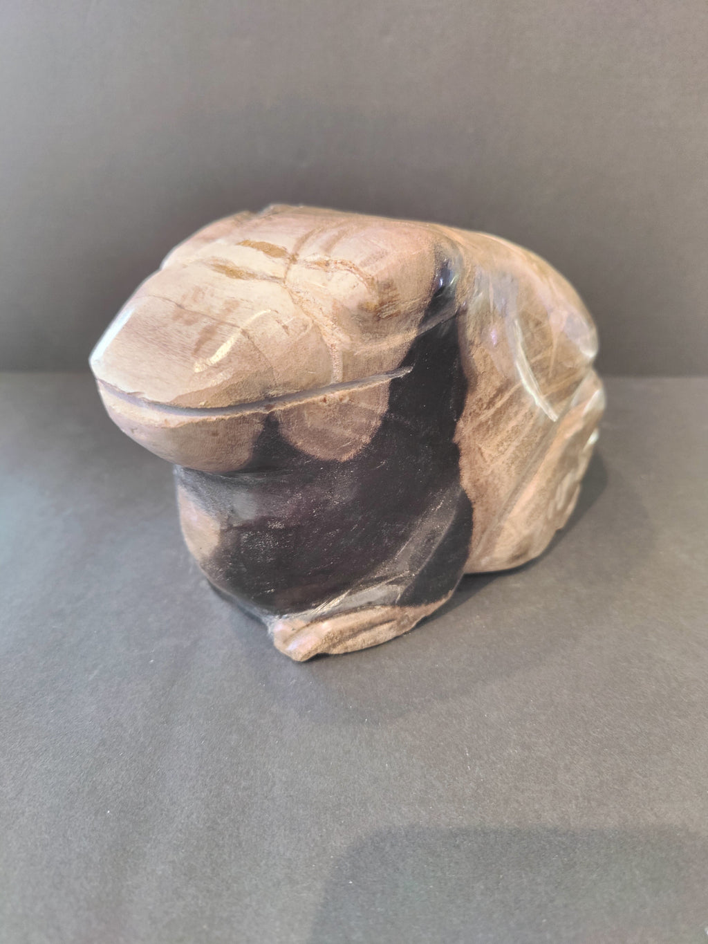 Petrified Wood Frog Sculpture