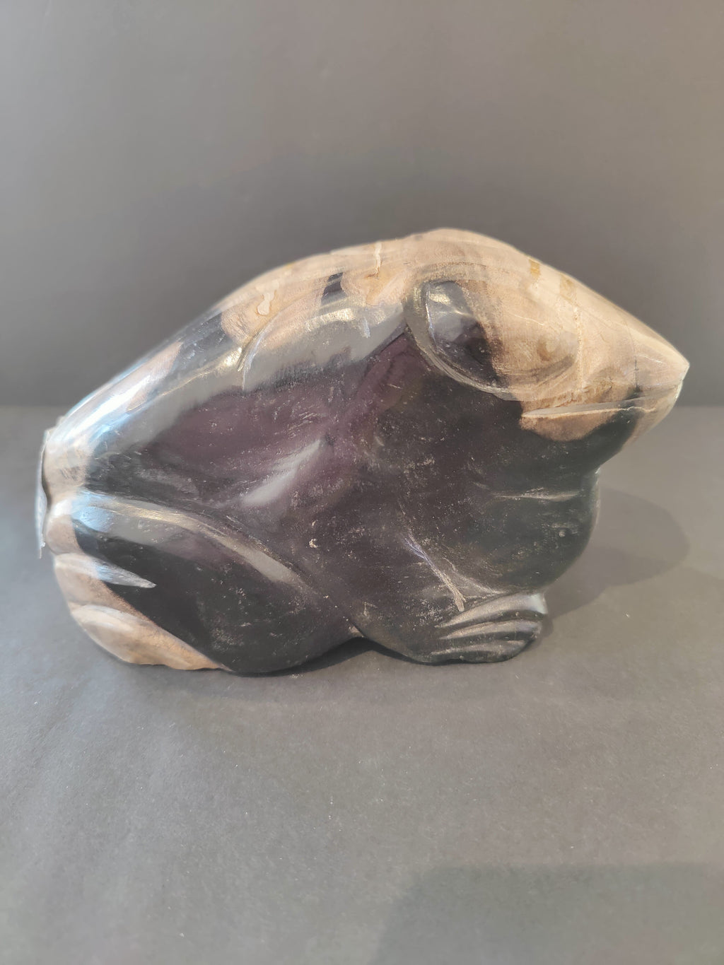 Petrified Wood Frog Sculpture