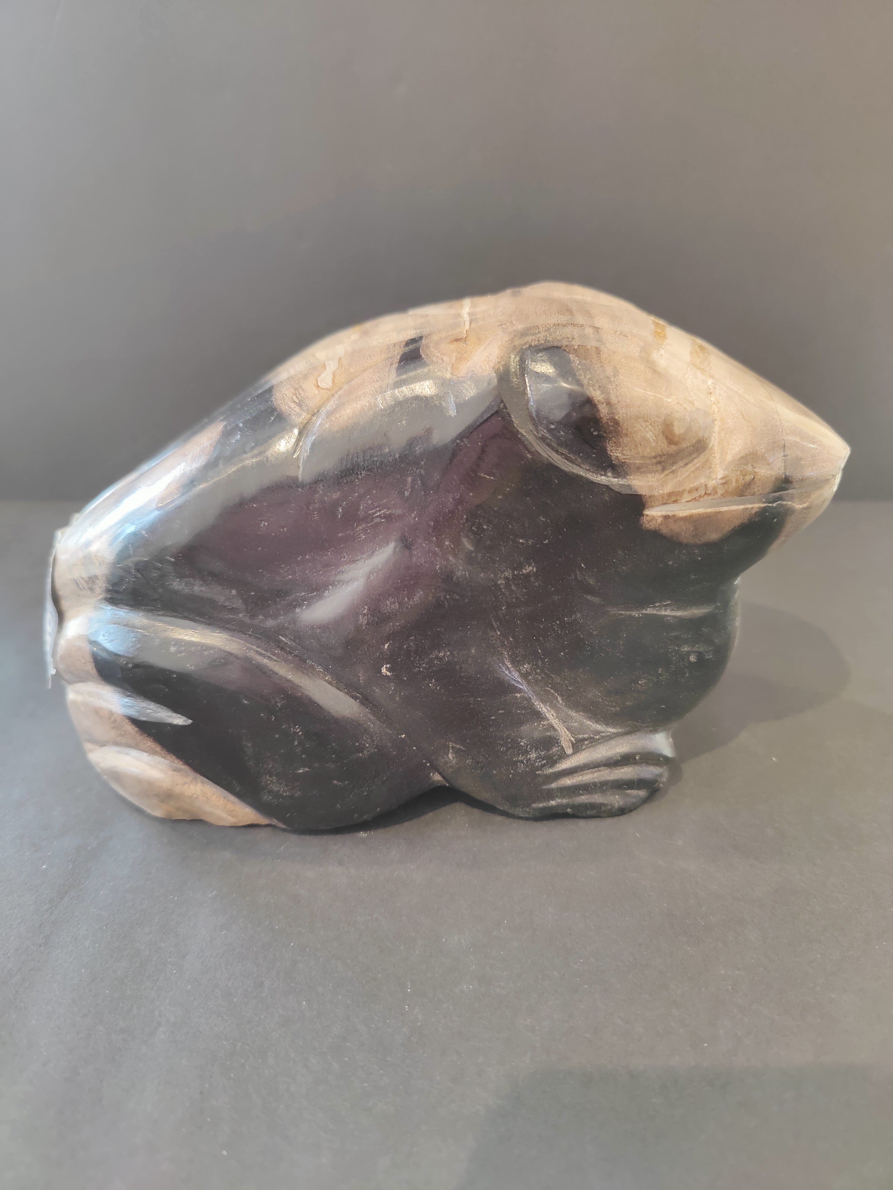 Petrified Wood Frog Sculpture