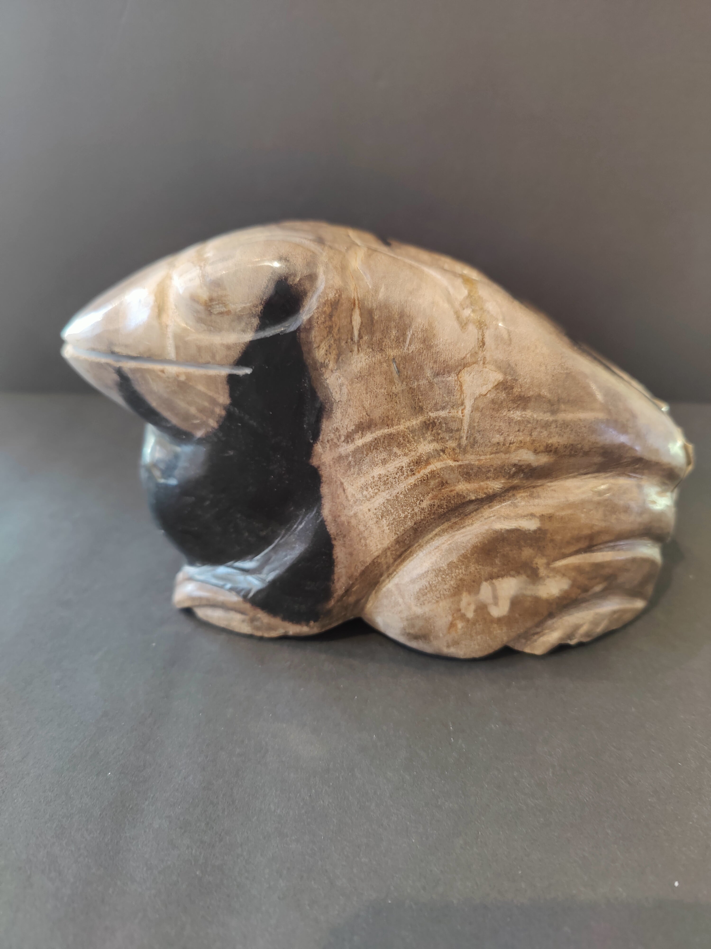 Petrified Wood Frog Sculpture