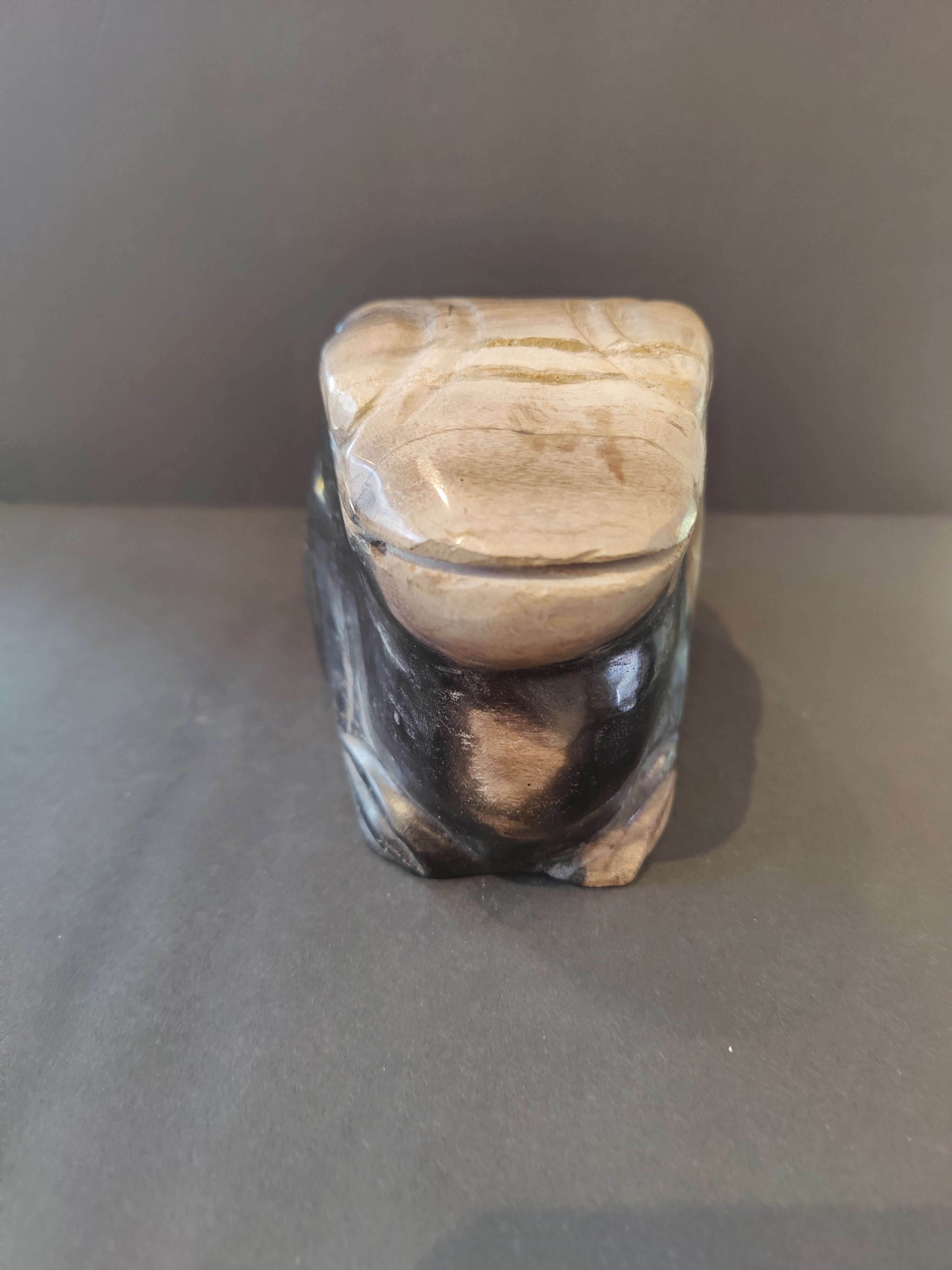 Petrified Wood Frog Sculpture