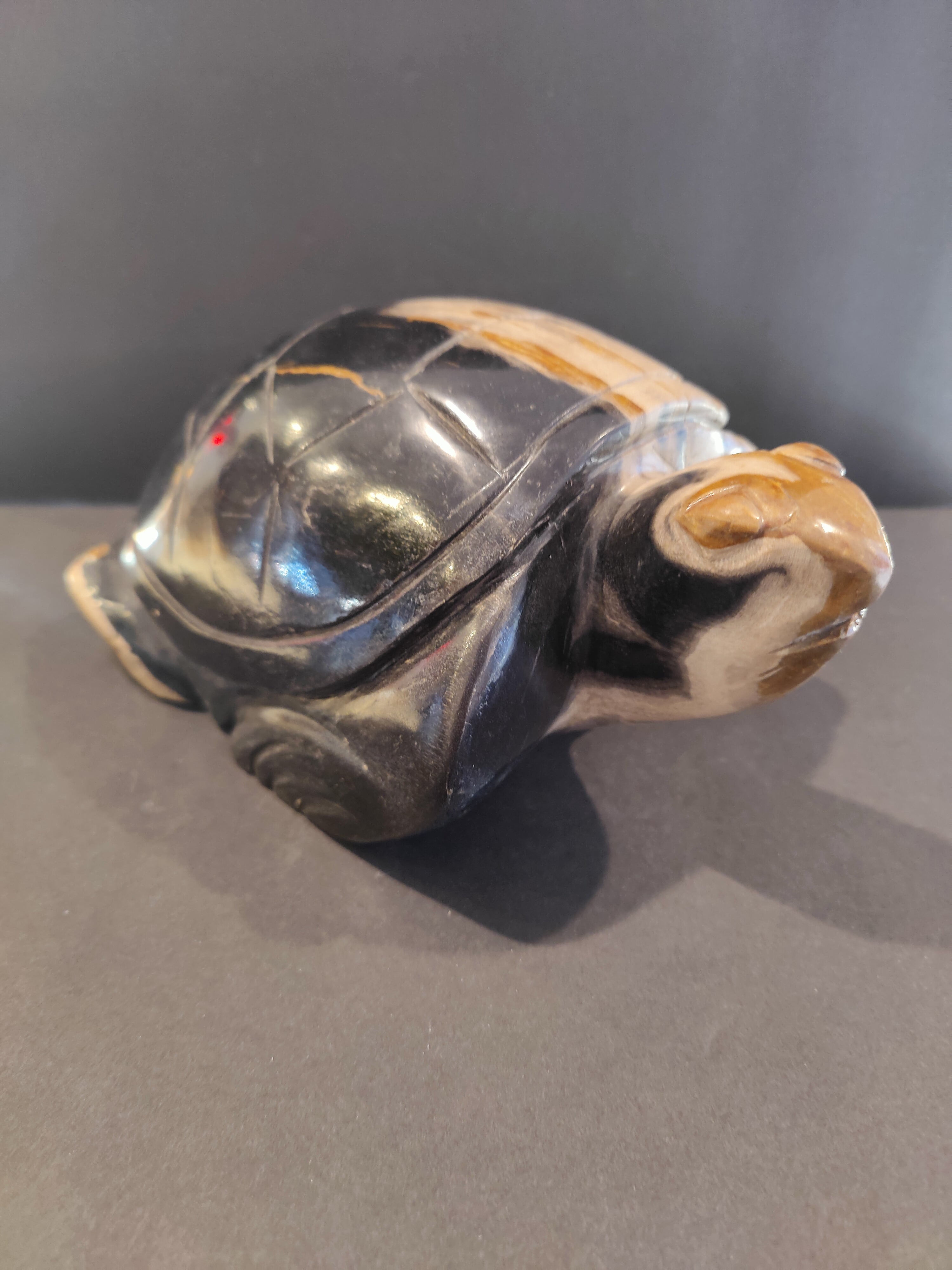 Petrified Wood Turtle Sculpture