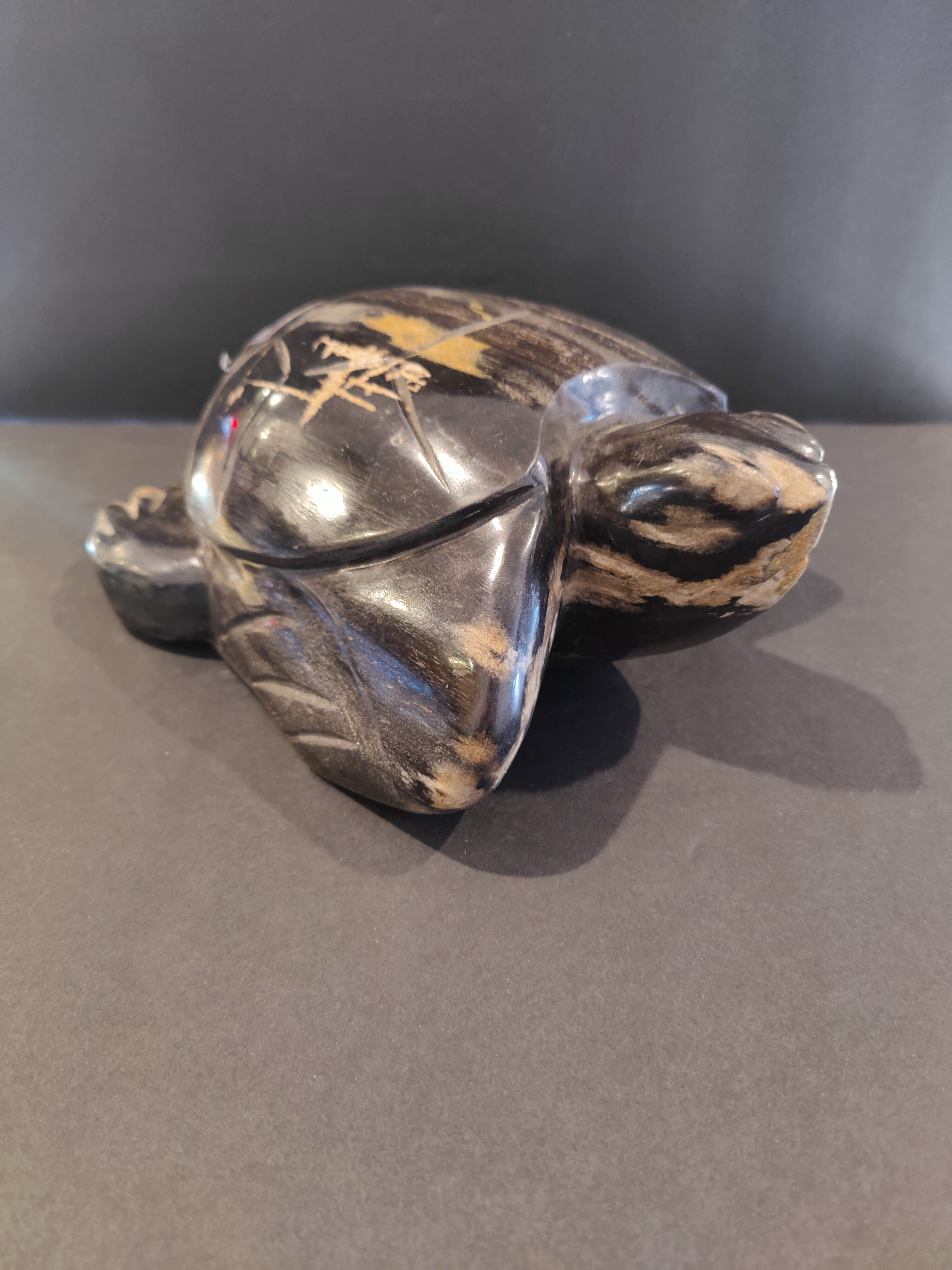 Petrified Wood Turtle Sculpture